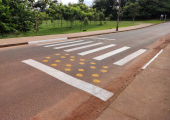 Conscientização: departamento de trânsito de Juína pinta "faixa de pedestre para capivaras" 